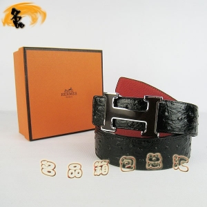 178 ¿ HermesƤ Hermes Ƥ ƺ ȿ3.8cm