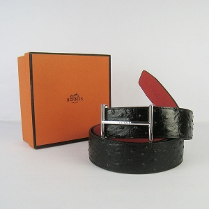 263 ¿HermesƤ Hermes  Ƥ ƺ 3.8cm