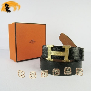 447 ¿ HermesƤ Hermes пƤ ƺǳ 3.8cm