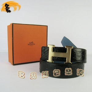 448 ¿ HermesƤ Hermes пƤ ƺ 3.8cm