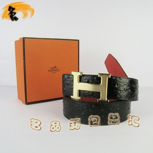 448 ¿ HermesƤ Hermes Ƥ ƺ 3.8cm