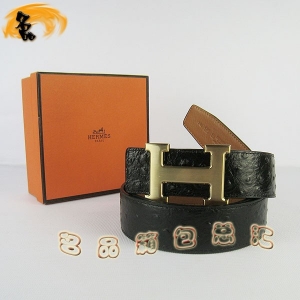 448 ¿ HermesƤ Hermes пƤ ƺǳ 3.8cm