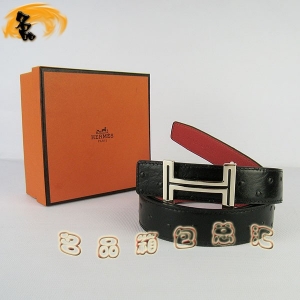 451 ¿ пƤ HermesƤ Hermes ƺ ڿ3cm