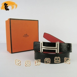 451 ¿ пƤ HermesƤ Hermes ƺ ȿ3cm