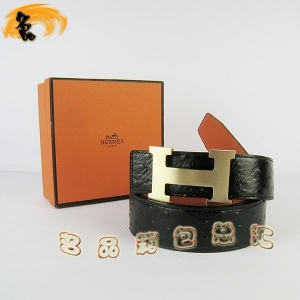 361 ¿ пƤ HermesƤ Hermes ƺ 3.8cm