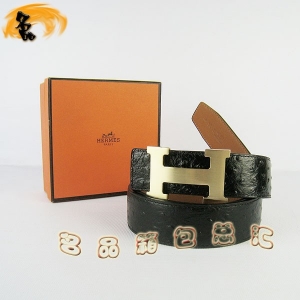 361 ¿ пƤ HermesƤ Hermes ƺǳ 3.8cm