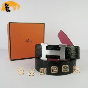 361 ¿ пƤ HermesƤ Hermes ƺҺ 3.8cm