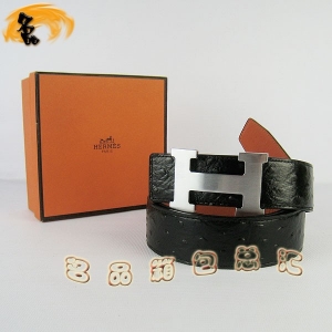 361 ¿ пƤ HermesƤ Hermes ƺ 3.8cm