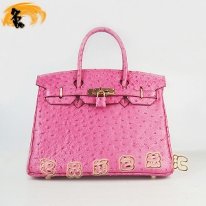 6088 Ů Hermes Hermes Birkin  ƣ30 õɫ