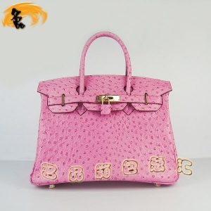 6088 Ů Hermes Hermes Birkin  ƣ30 Һɫ