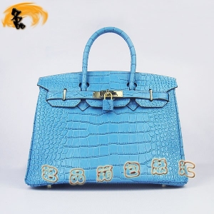 6088 Hermes Birkin  Hermes Ů ƣ30 ɫ