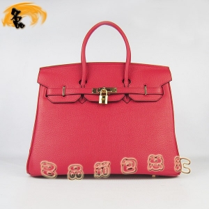 6089 Hermes Hermes Birkin  Ů ֦ƣ35 ɫ