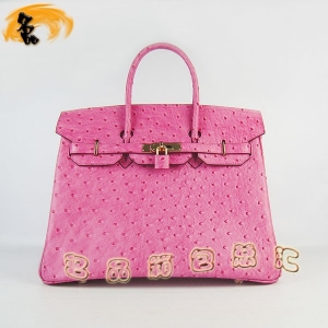 6089 Hermes Hermes Birkin  Ů ƣ35 õɫ