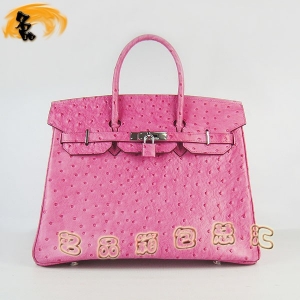 6089 Hermes Hermes Birkin  Ů ƣ35 õɫ