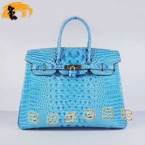 6089 Hermes Birkin Ů Hermes  ͷƣ35 ǳɫ