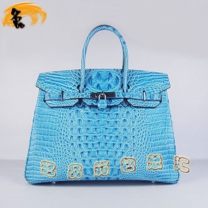 6089 Hermes Birkin Ů Hermes  ͷƣ35 ǳɫ