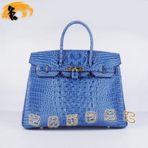 6089 Ů Hermes Hermes Birkin  ͷƣ35 ɫ