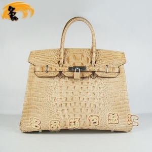 6089 Ů Hermes Hermes Birkin  ͷƣ35 ɫ