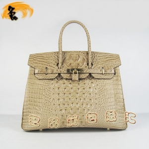 6089 Ů Hermes Hermes Birkin  ͷƣ35 ɫ