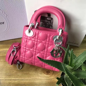 Diorϰ Lady Dior ϰ´  õɫƤ Dior 