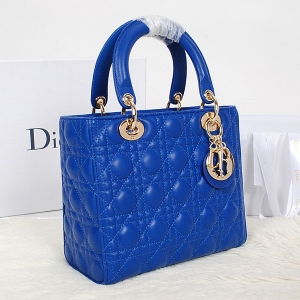 Diorϰ Lady Dior   Ƥ  С