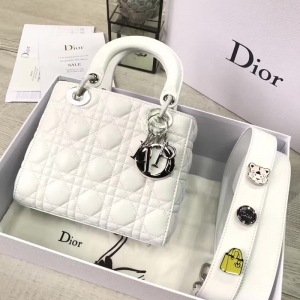 Dior LADY DIORСƤ 2017¿ϰ»´ ɫ