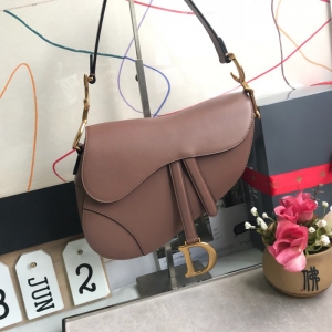 M0446 Dior SaddleСţƤ Dior DiorŮ ɳɫ