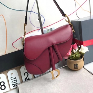 M0446 Dior SaddleСţƤ Dior DiorŮ õ