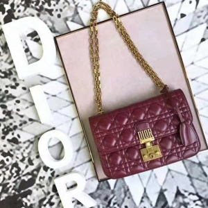 M5818 Dior AddictŮ СƤ ٸ ʽ ϰ ɫ