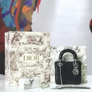 M673 Diorϰ Lady Dior ϰ´ Ƥ Dior ɫ