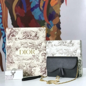 M5620 Dior SaddleϵŮ woc СţƤ ϰ Diorð ɫ