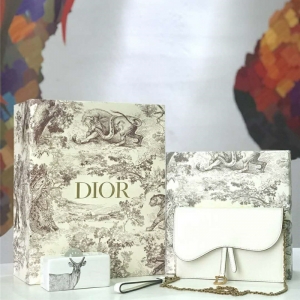 M5620 Dior SaddleϵŮ woc СţƤ ϰ Diorð ɫ