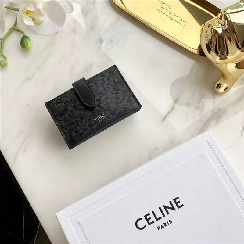 10B693 Celineտ СţƤ Celine޿ ɫ 