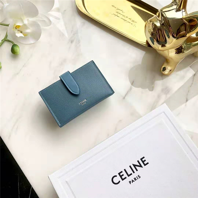 10B693 Celineտ СţƤ Celine޿ 