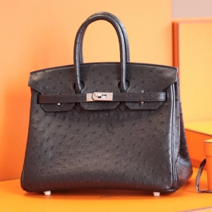 Hermes Birkin 25 ˲ ֹư Ƥ ɫ