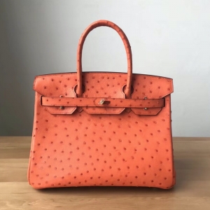 Hermes Birkin 25 ˲ ֹư Ƥ ɫ