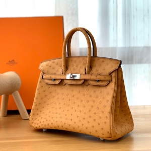 Hermes Birkin 25 ˲ ֹư Ƥ ̫