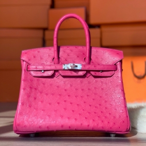 Hermes Birkin 25 ˲ ֹư Ƥ õɫ