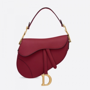 M0446 Dior Saddle Dior ɫ