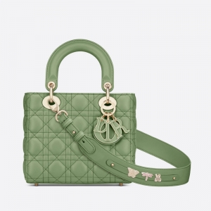 M0538 ϰLady Dior MyABCDior ִ Ƥٸ 