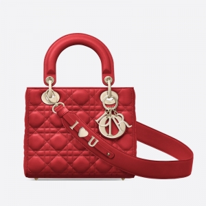 M0538 ϰLady Dior MyABCDior ִ Ƥٸ ɫ