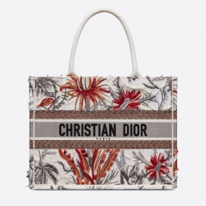 M1296 Dior Book Tote Сִ ɫԲɫܴ