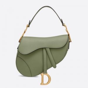 M0446 Dior Saddle DiorŮ ɫ