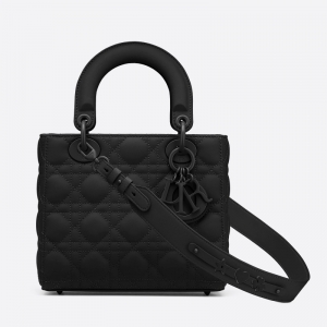 M0538 Dior Lady Dior My ABCDior ִ ƹţƤٸ ɫ