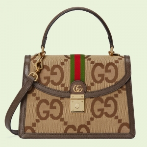 651055 ųGucci Ophidiaϵг˫GСִ