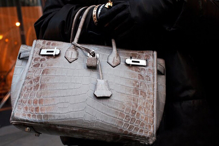 奢侈名包中“鳄鱼皮”你不知道的真相