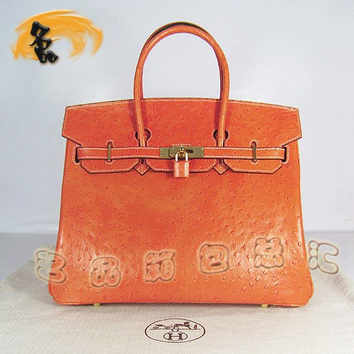 6089 Hermes¿ ʱŮ Hermes  Hermes Birkinϵ 