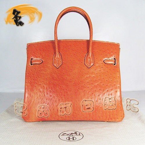 6089 Hermes¿ ʱŮ Hermes  Hermes Birkinϵ 