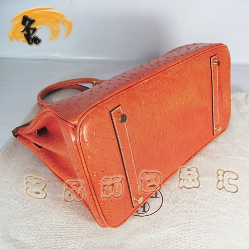 6089 Hermes¿ ʱŮ Hermes  Hermes Birkinϵ 