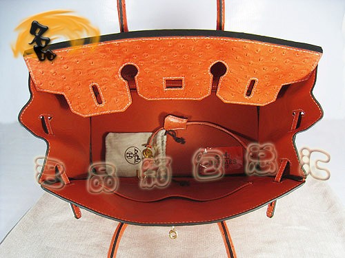 6089 Hermes¿ ʱŮ Hermes  Hermes Birkinϵ 